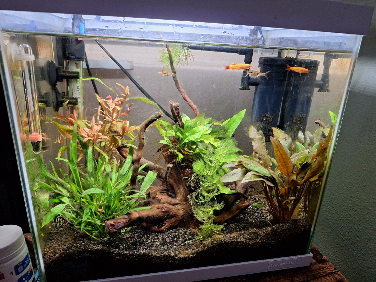 Te koop visaquarium compleet, Ophalen, Zo goed als nieuw