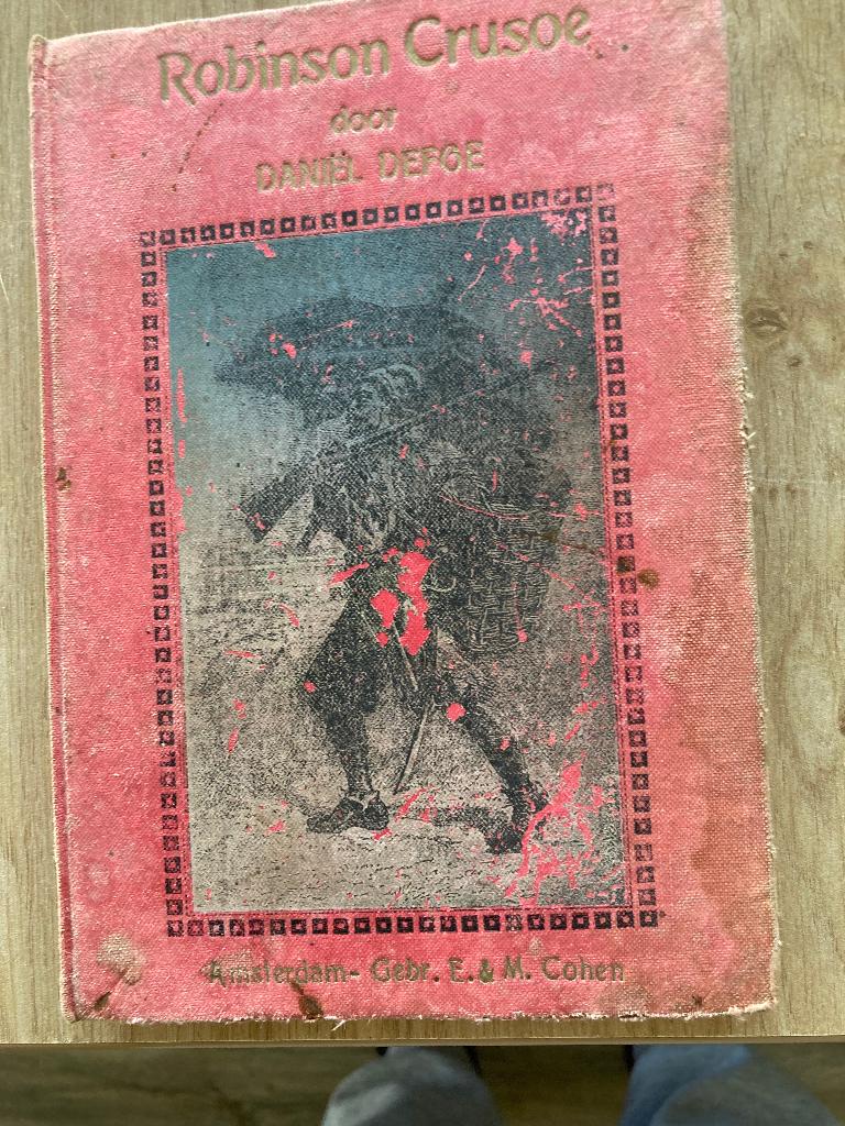 Boek Daniel Defoe, Ophalen of Verzenden, Gelezen