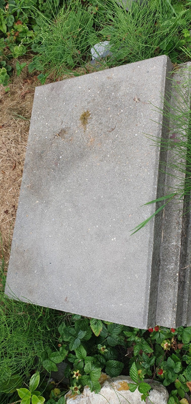 Gratis terrastegels, Tuin en Terras, Ophalen, Gebruikt, Beton, Terrastegels
