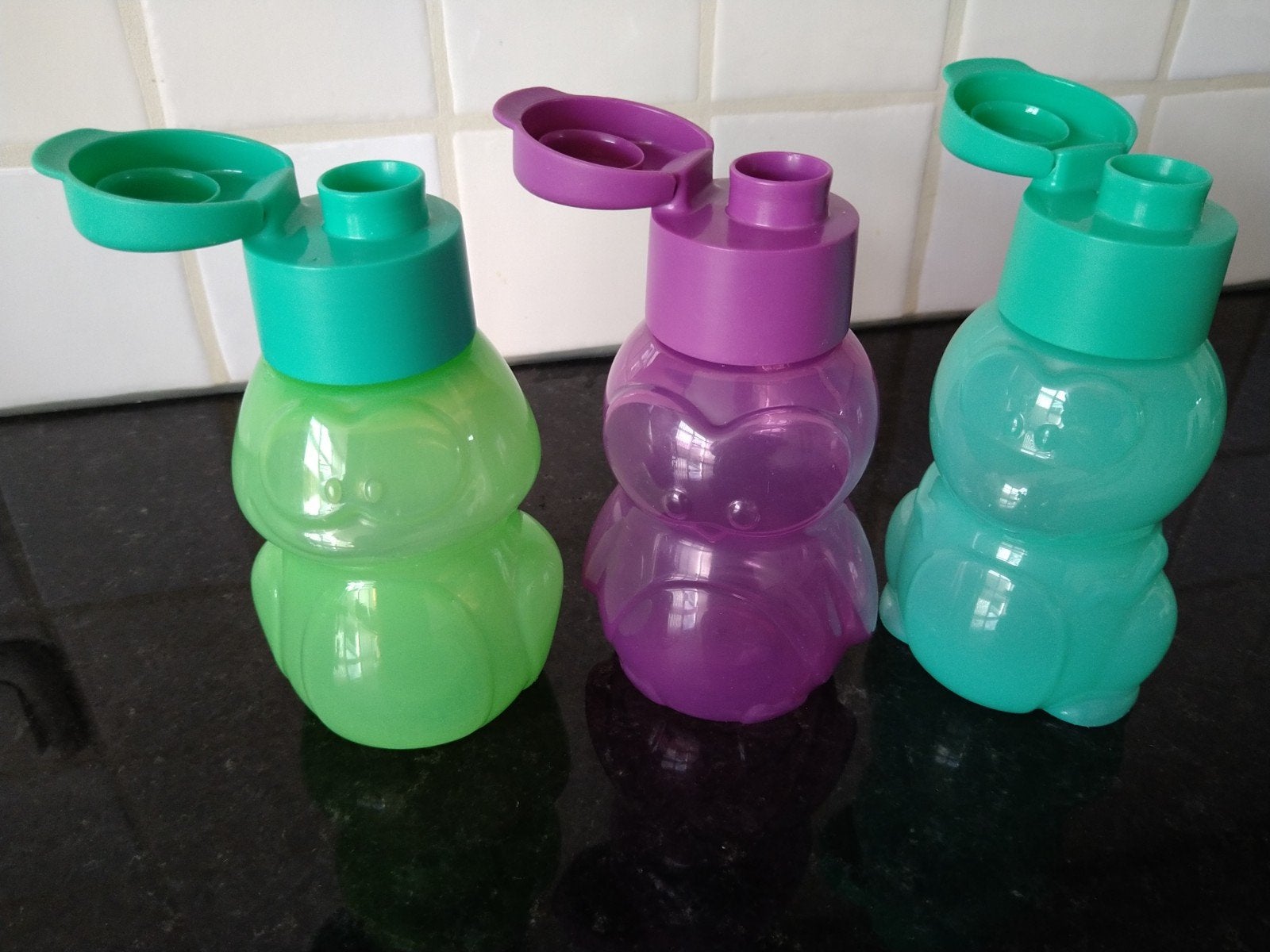 3 Tupperware ECOFLESJES per stuk €6 

Tupperware ecoflesjes, Overige typen, Ophalen of Verzenden, Zo goed als nieuw, 350 ml