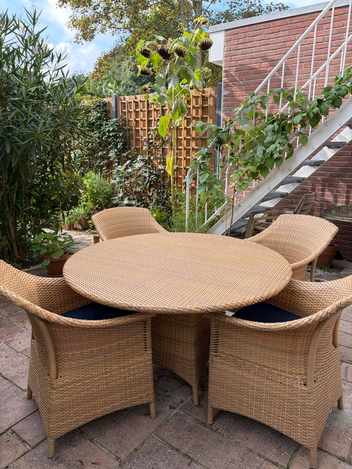 Dedon Tuinset: Tafel (127cm) met 4 Stoelen en Kussens