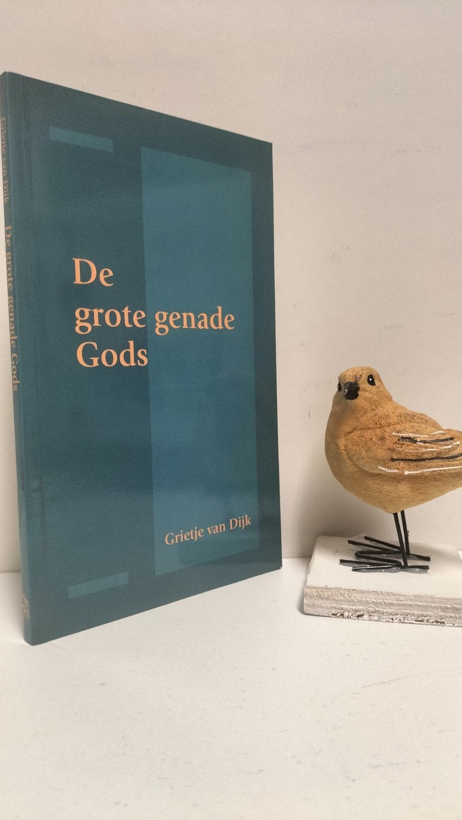 Dijk, Grietje van; De grote genade Gods, Ophalen of Verzenden, Gelezen, Christendom | Protestants