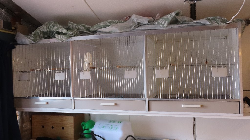 Uitvliegkooi 3-delig driedelig 150x50x40, Dieren en Toebehoren, Vogels | Hokken en Kooien, Ophalen, Zo goed als nieuw, Hout, Overige typen
