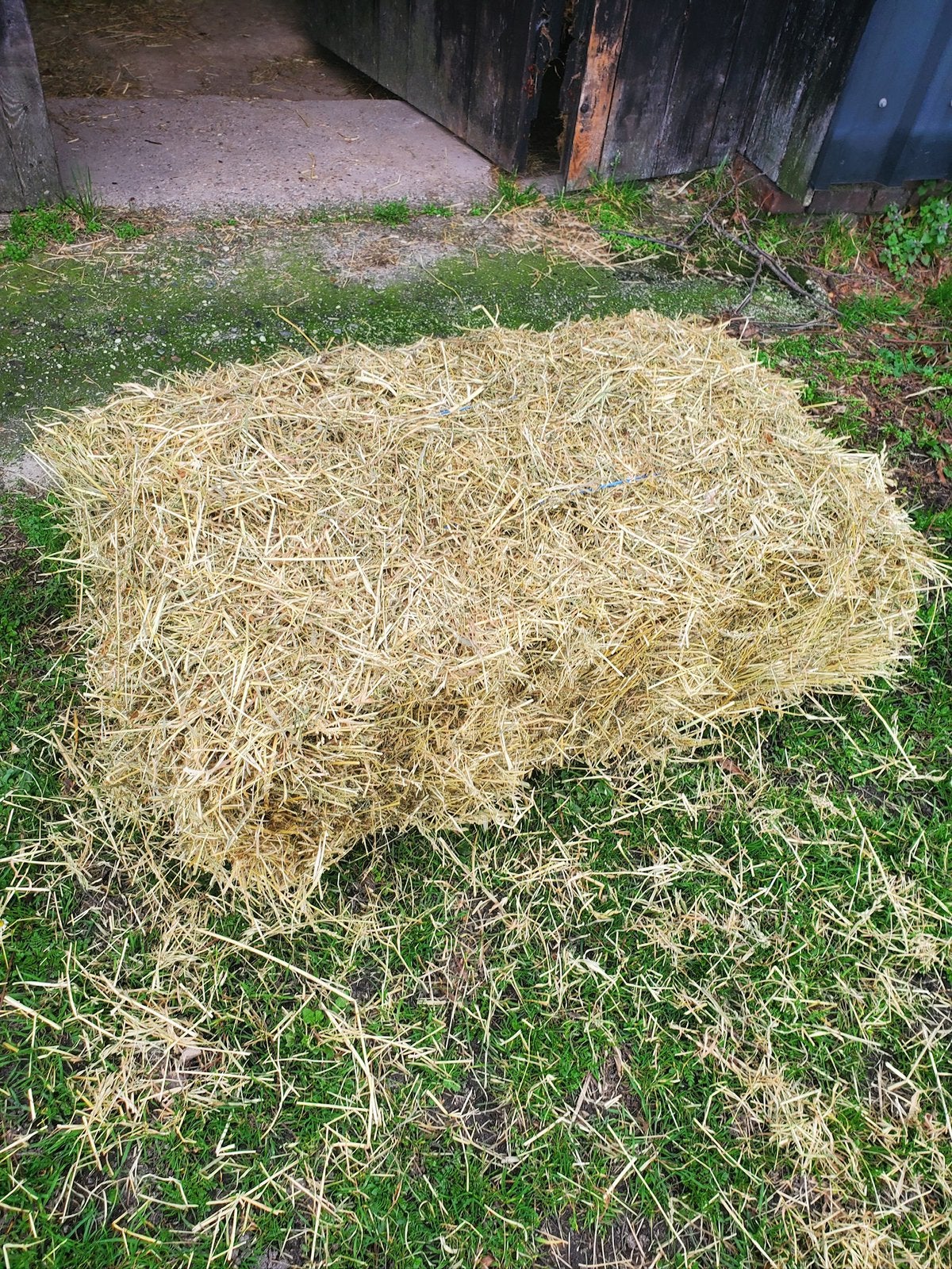 Kleine pakken hooi, Dieren en Toebehoren, Dierenvoeding, Ophalen, Overige soorten