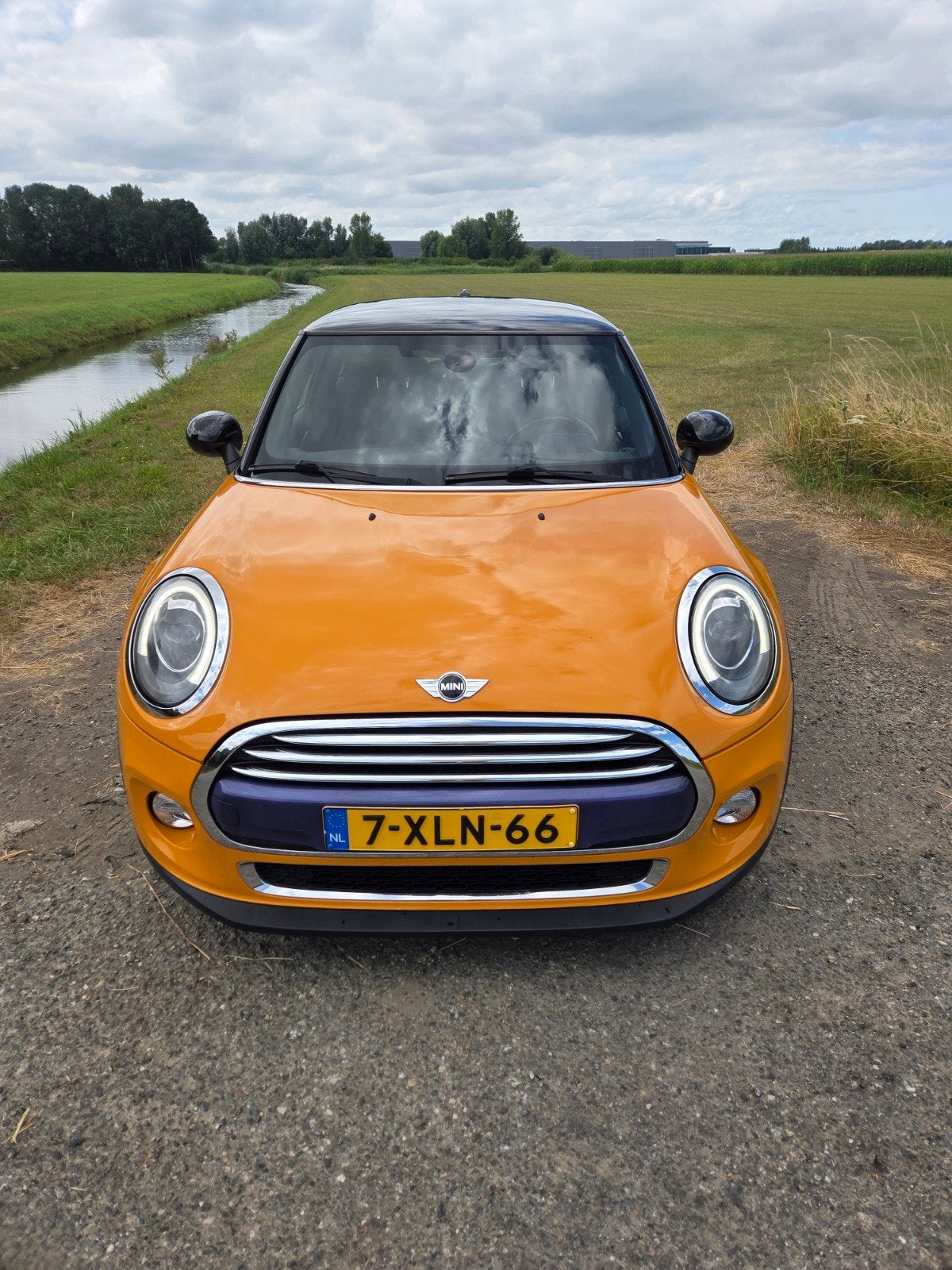 Mini 1.5 Cooper AUT 2014, 136 pk, Overige kleuren, 4 stoelen, 49 €/maand