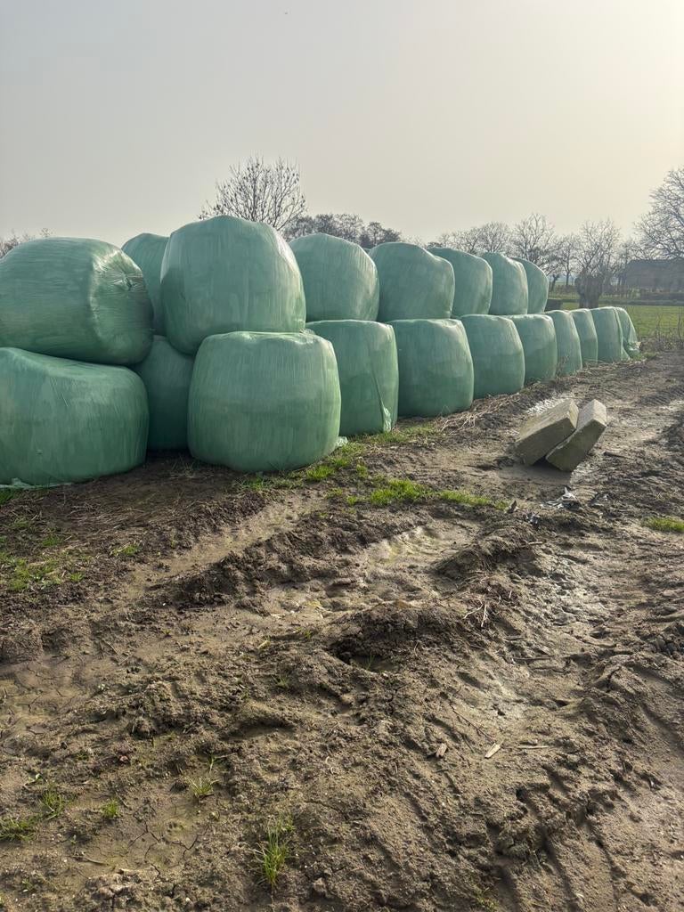 Balen te koop, Ophalen of Verzenden, Vee