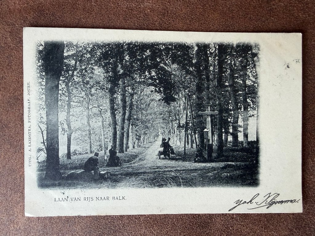Laan van Rijs naar Balk - gelopen 1903 - perfecte staat, Ophalen of Verzenden, Voor 1920, Gelopen, Friesland