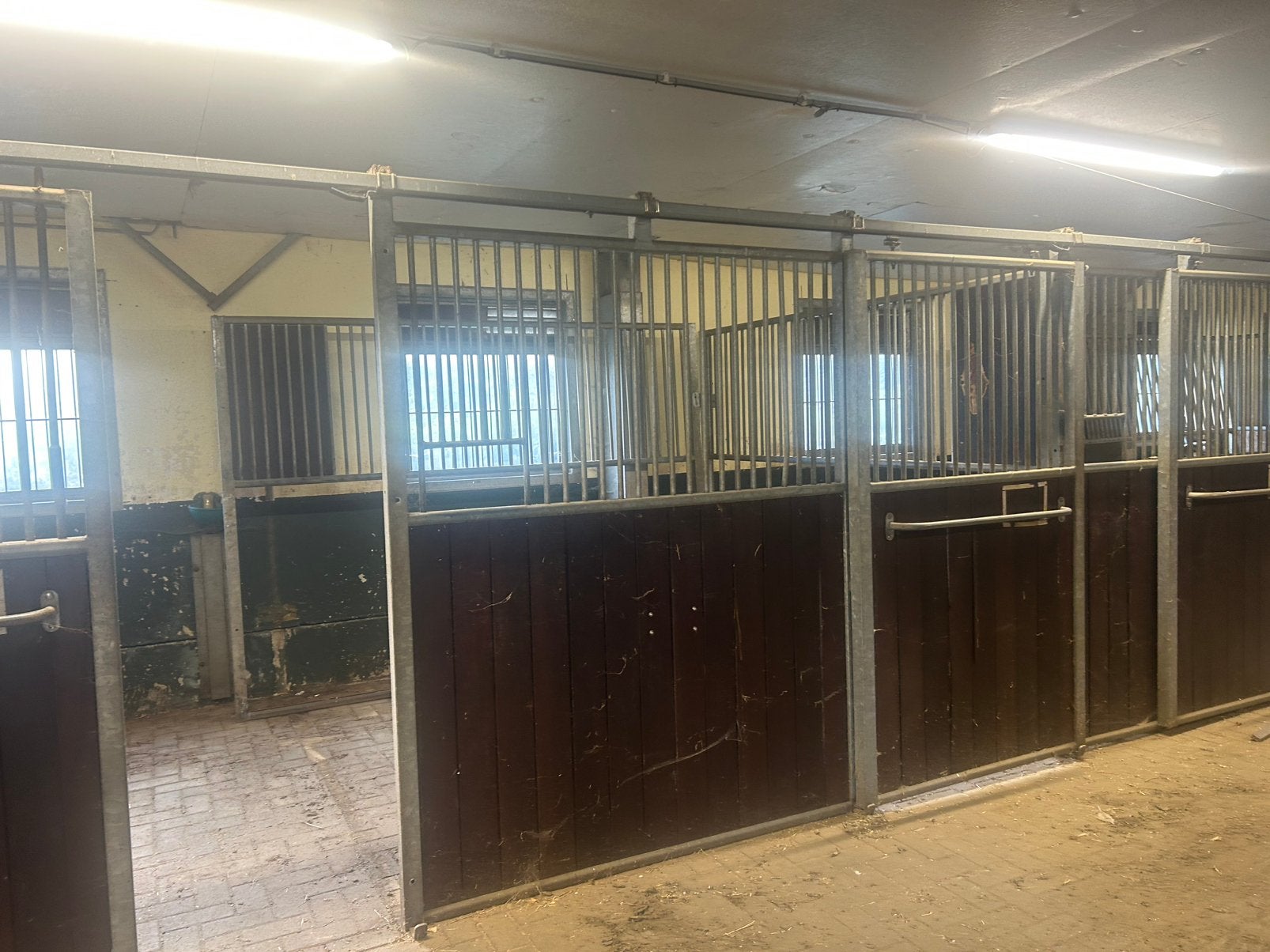 Paardenstallen paardenboxen, Dieren en Toebehoren