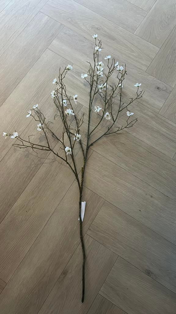 Mooie zijde bloesemtak van Silk ka met mos, Ophalen of Verzenden, Zo goed als nieuw