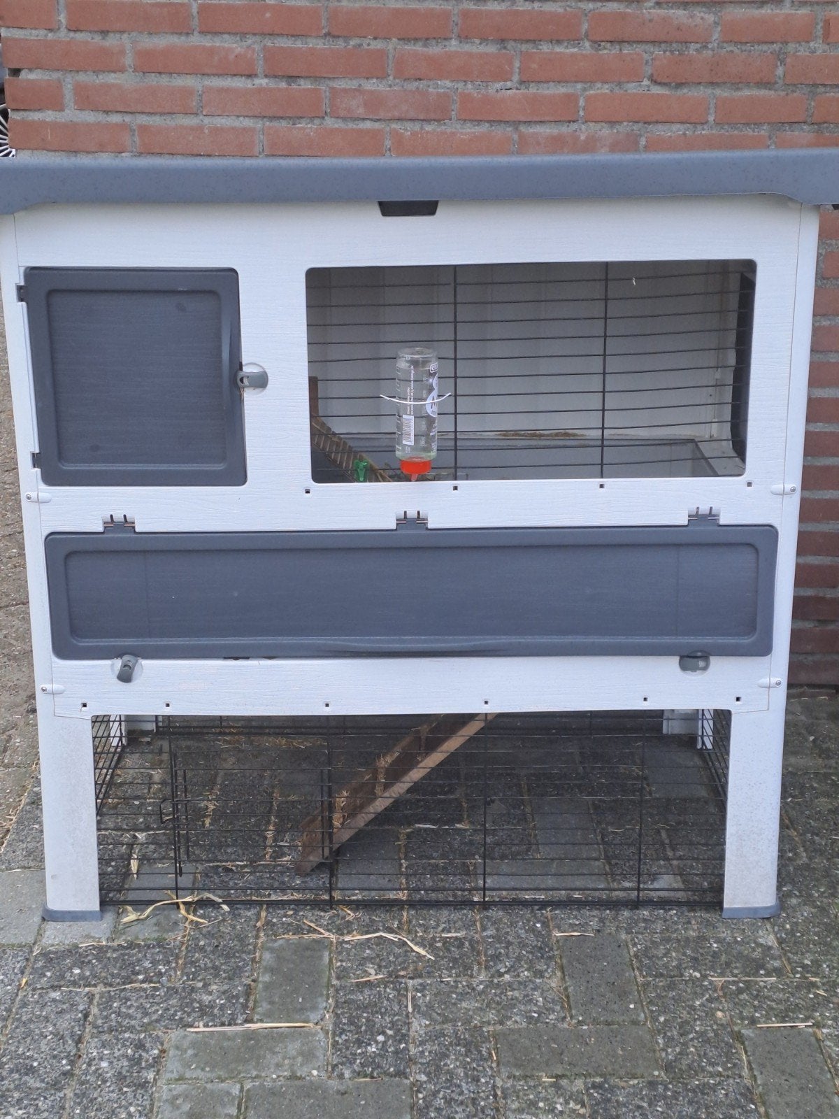2 lieve konijnen pluisje en vlekkie inclusief hok, Meerdere dieren