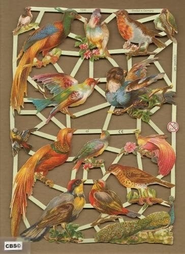 Vogels met Pauw poezieplaatjes 7246, Verzamelen, Poesieplaatjes, Ophalen of Verzenden