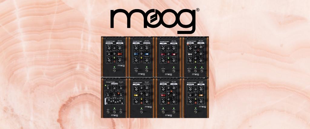 Moog Music Plugins Bundle, Verzenden, Nieuw, Windows