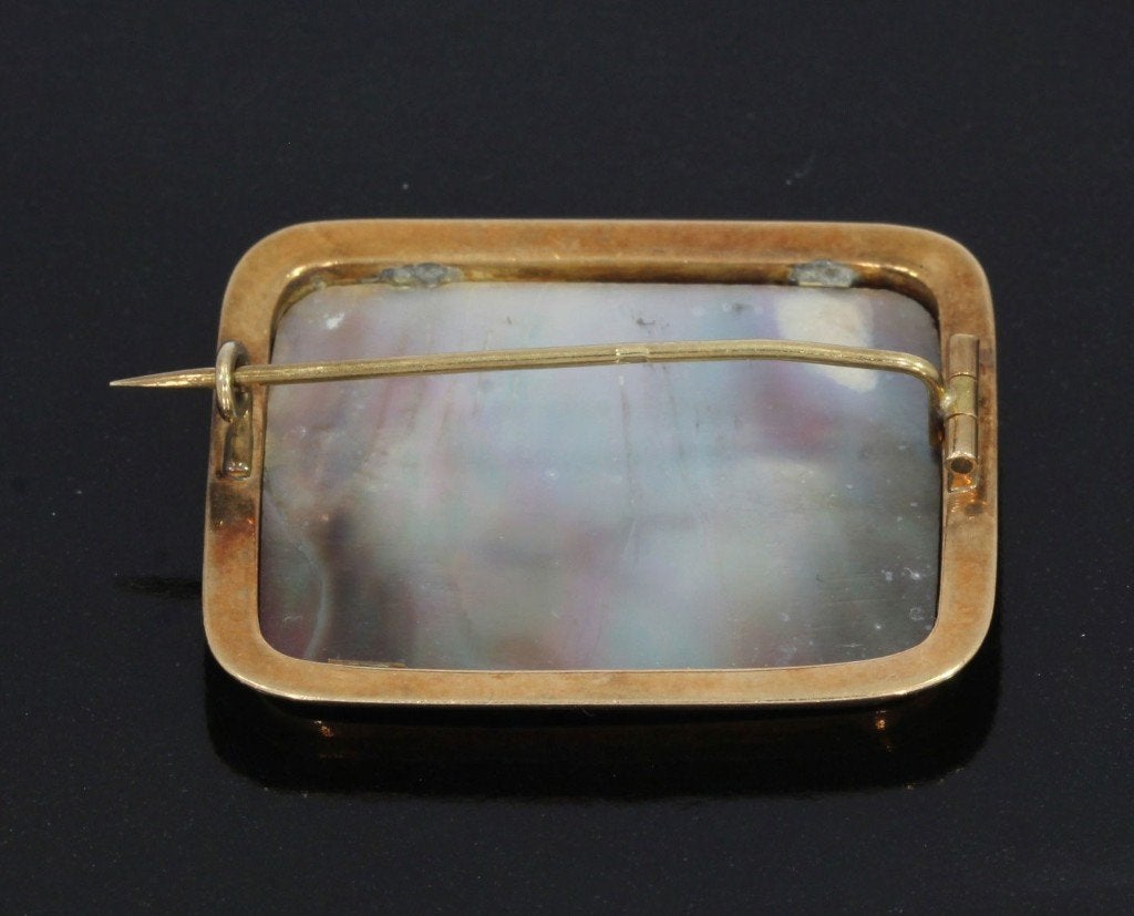 Parelmoer antieke 14k gouden broche hert landschap uniek, Verzenden, Goud, Broche, Met edelsteen