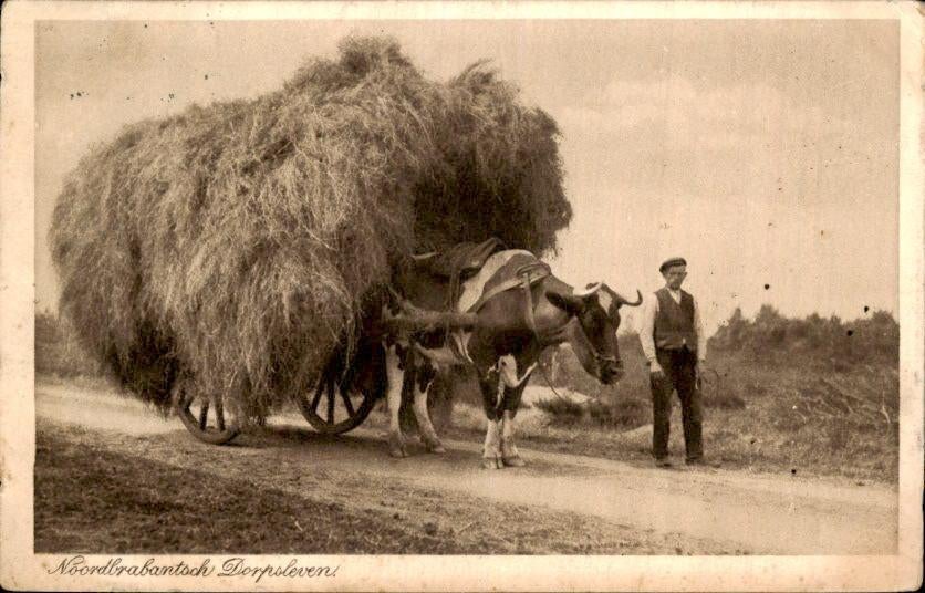 Noordbrabantsch Dorpsleven, Verzamelen, Ansichtkaarten | Nederland, Gelopen, Noord-Brabant, Voor 1920, Ophalen of Verzenden