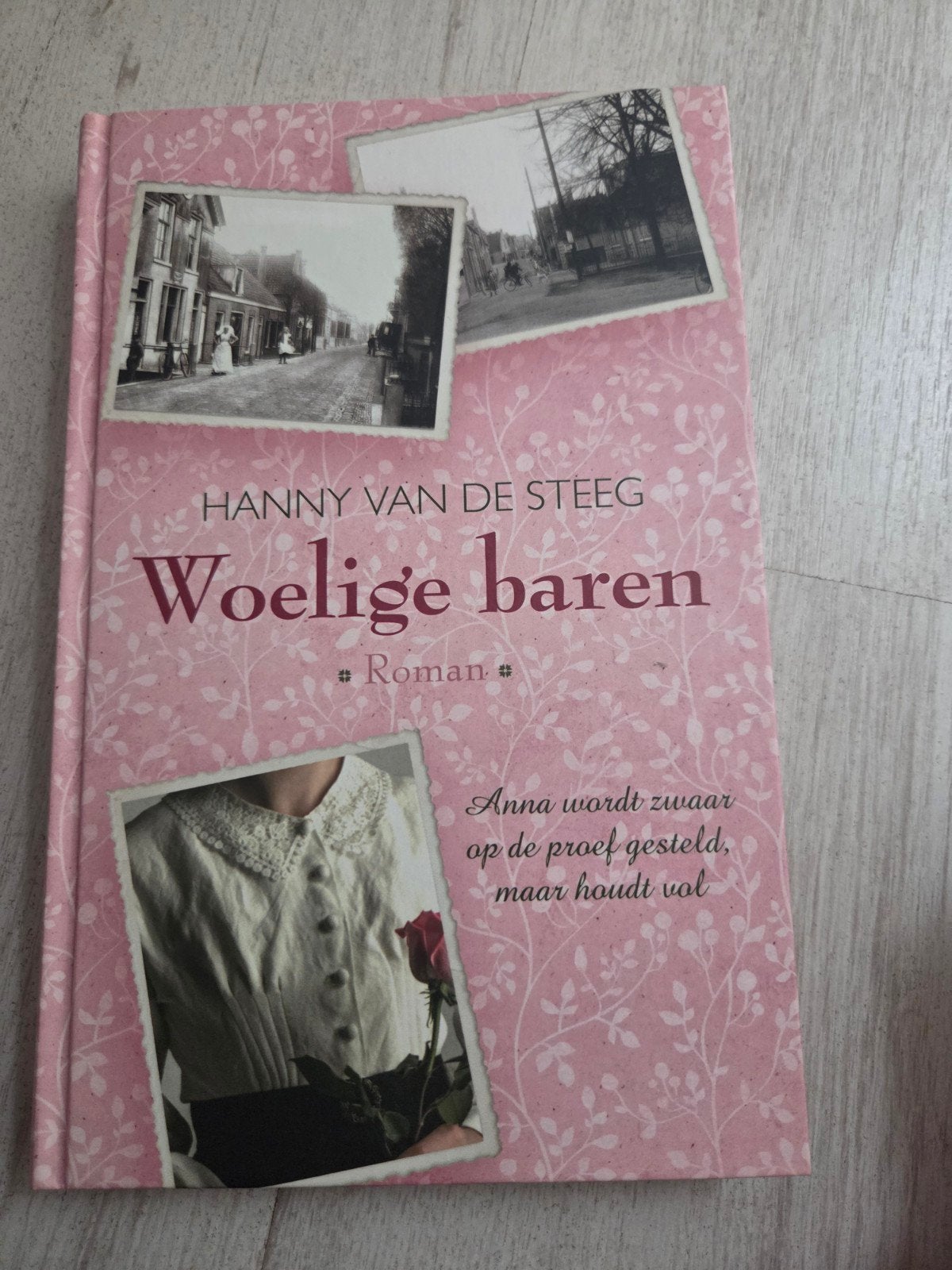 Woelige baren - Hanny van de Steeg - Roman, Verzenden, Zo goed als nieuw, Hanny van de Steeg, Nederland