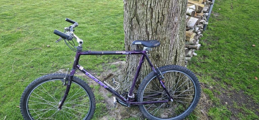 Giant Cadex HCM-1 carbon fame 22 inch, Fully, Ophalen, Giant