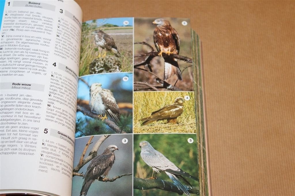 ANWB Natuurgids — Dieren- en Plantengids voor Europa, Ophalen of Verzenden, Gelezen, Natuur algemeen