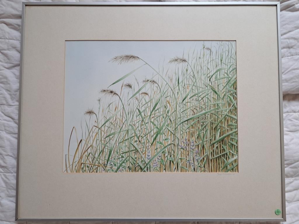 Jaap Oostermann '83 - Rietlandschap aquarel, Ophalen of Verzenden