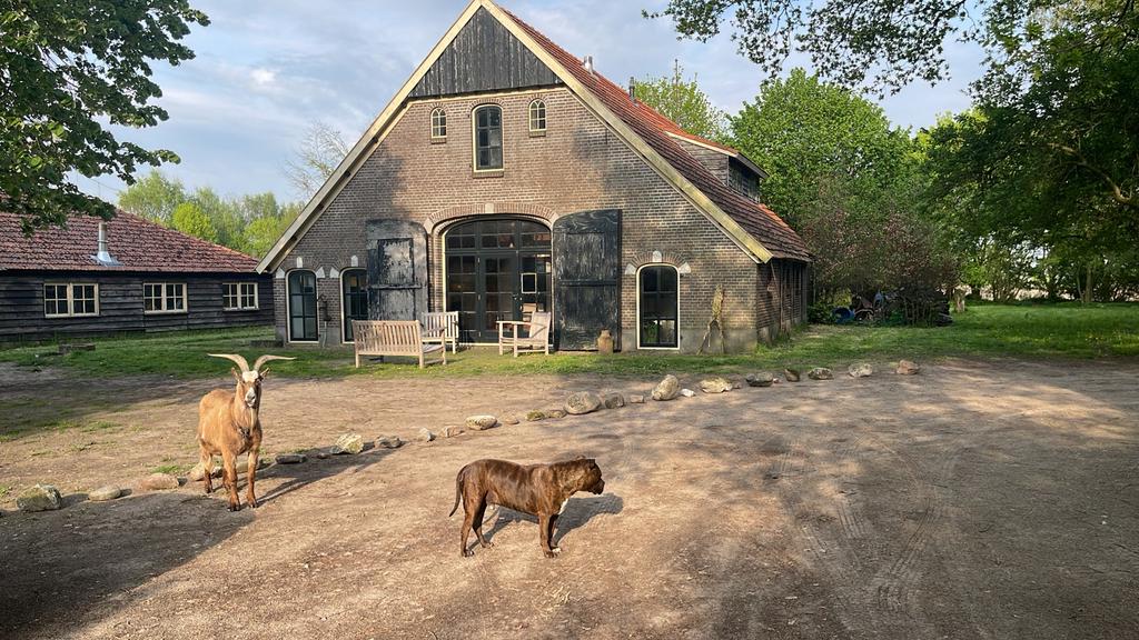 Op schitterende locatie woonboerderij te koop, 250 m², Hoogenweg, 3 kamers, 1500 m² of meer