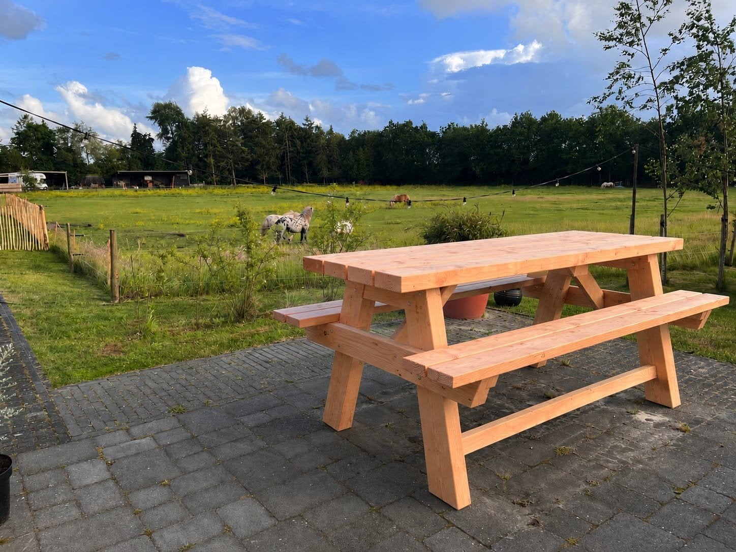 Prachtige, robuuste picknicktafel, Ophalen, Nieuw, Rechthoekig, Hout
