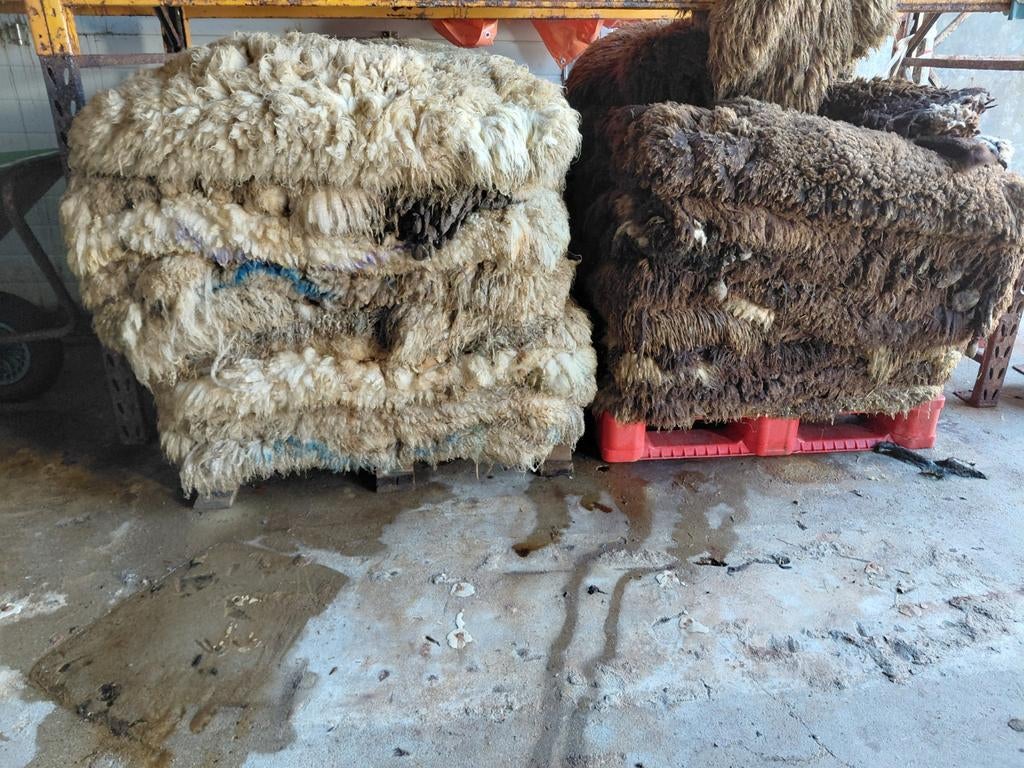 Huiden, Dieren en Toebehoren, Meerdere dieren, Schaap