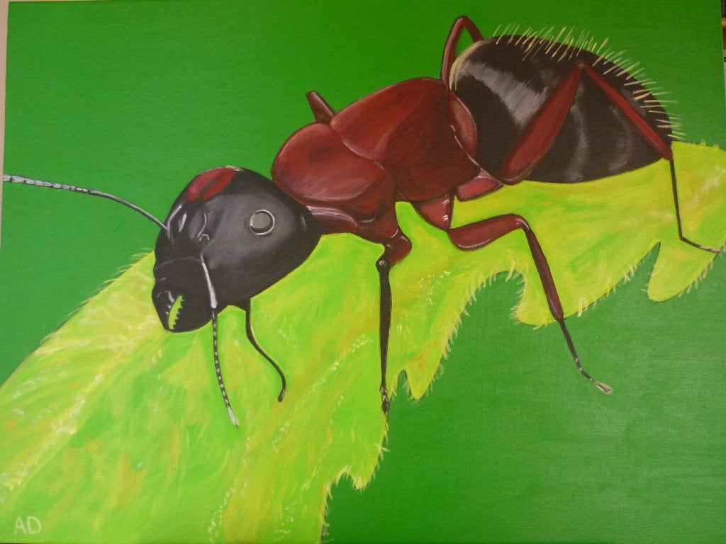 Mier, Acrylverf, Handgeschilderd, Ophalen of Verzenden, Dieren