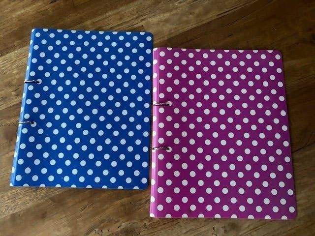 2 ringmappen/klasseermappen, Ophalen of Verzenden, Zo goed als nieuw