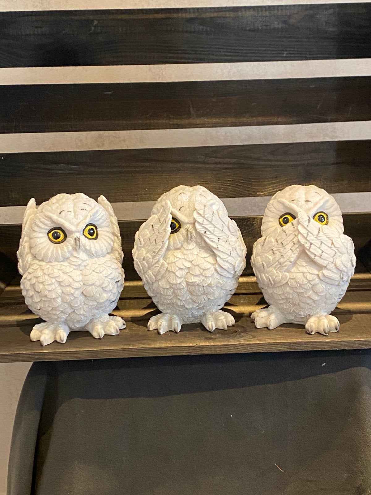 Uilen set horen zien zwijgen, Meerdere dieren
