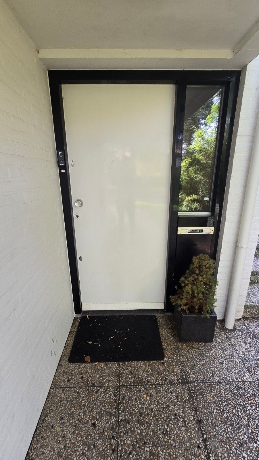 Witte hardhouten voordeur, Ophalen, Gebruikt, 80 tot 100 cm, Buitendeur