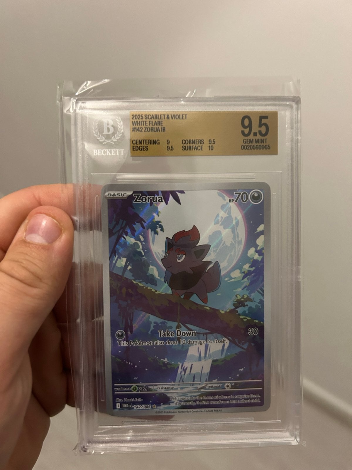 Zorua IR #142 Scarlet & Violet White Flare BGS 9.5, Ophalen of Verzenden, Zo goed als nieuw, Losse kaart