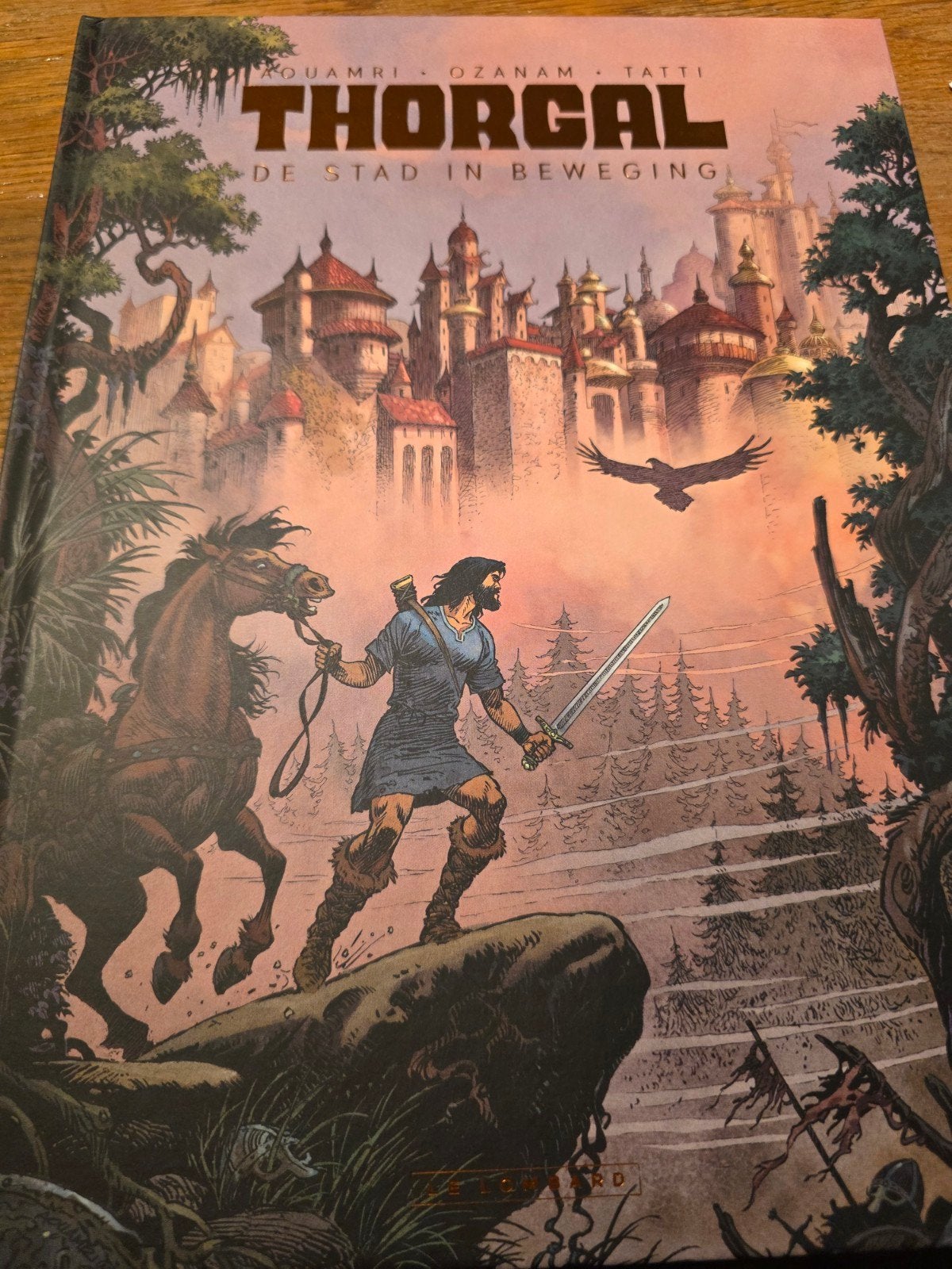 Thorgal: De Stad in Beweging - incl.dedi Aouamri, Boeken, Eén stripboek, Ophalen of Verzenden, Zo goed als nieuw