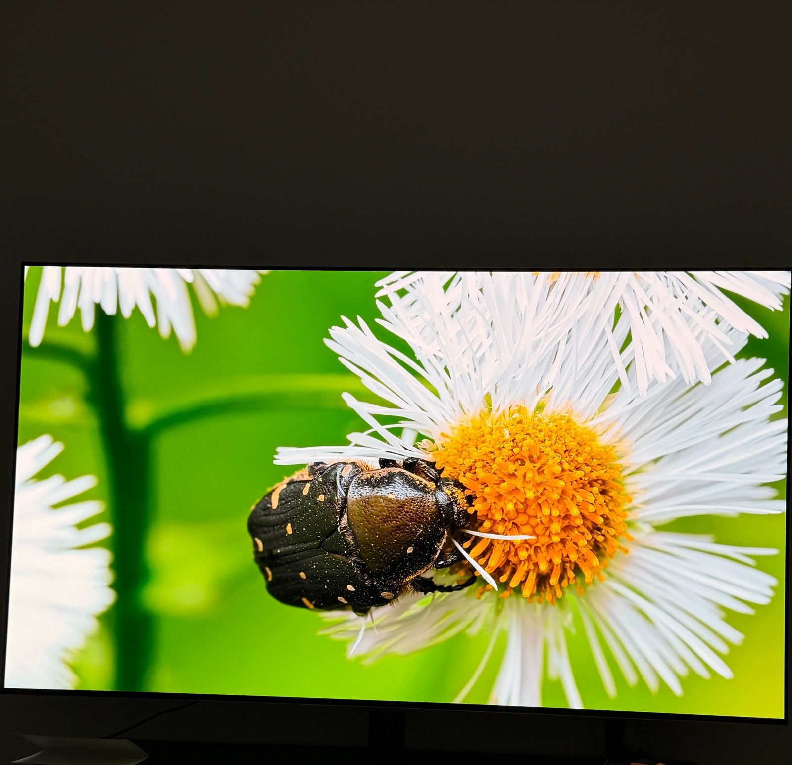 Foto 4 van LG OLED55G45LW OLED TV 2024