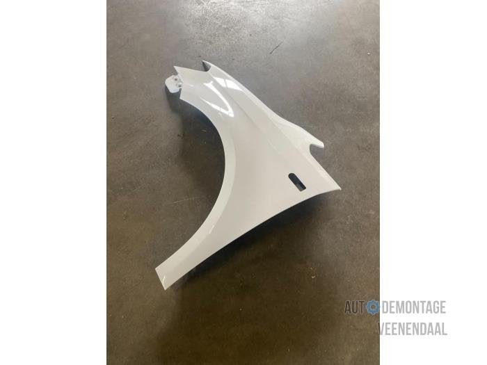 Scherm links-voor van een Volkswagen Caddy (LB9A), -, Volkswagen, -, Nieuw