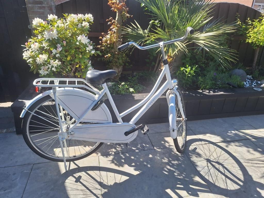 Damesfiets Altec Roma 28 inch, Ophalen, Terugtraprem, Altec, Versnellingen