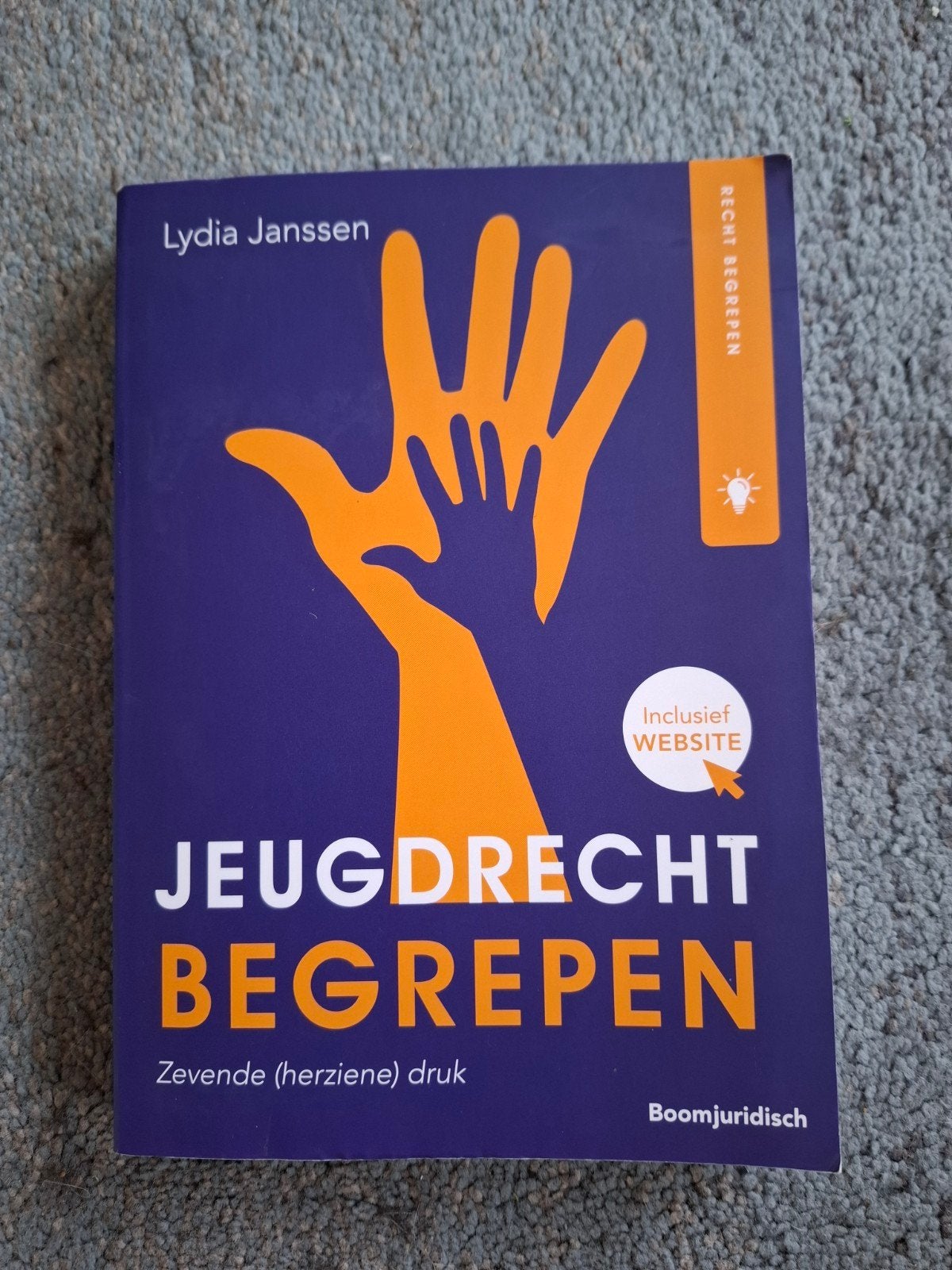 Lydia Janssen - Jeugdrecht begrepen zevende druk., Sociale wetenschap, Ophalen of Verzenden, Zo goed als nieuw, Lydia Janssen