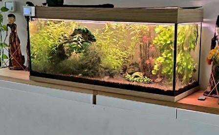 Zgan  Aquarium  1.20x 55x40 diep , veel toebehoren  !, Ophalen, Zo goed als nieuw, Leeg aquarium