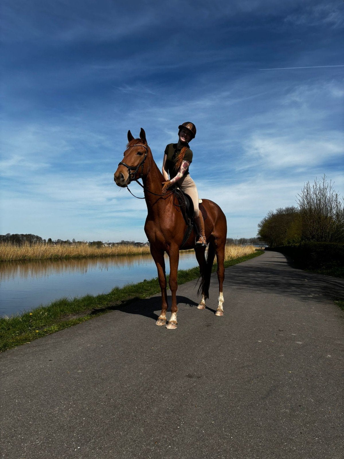 Bijrijder / verzorgster gezocht, Ophalen