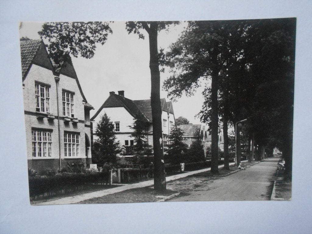 Balkbrug De Boslaan een mooi Balkbrug De Boslaan in 1968, Ophalen of Verzenden, 1960 tot 1980, Gelopen, Overijssel