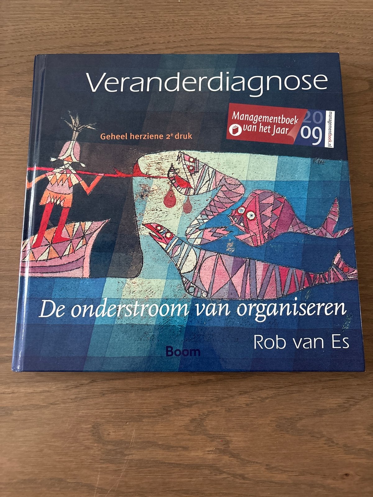 Veranderdiagnose: De onderstroom van organiseren - Rob van E, Boeken, Ophalen of Verzenden, Zo goed als nieuw, Management