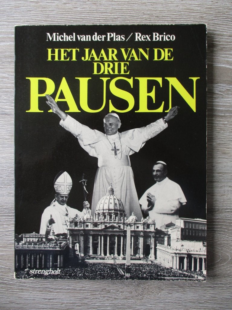Het jaar van de drie pausen - Michel van der Plas / Rex Br, Ophalen of Verzenden, Gelezen