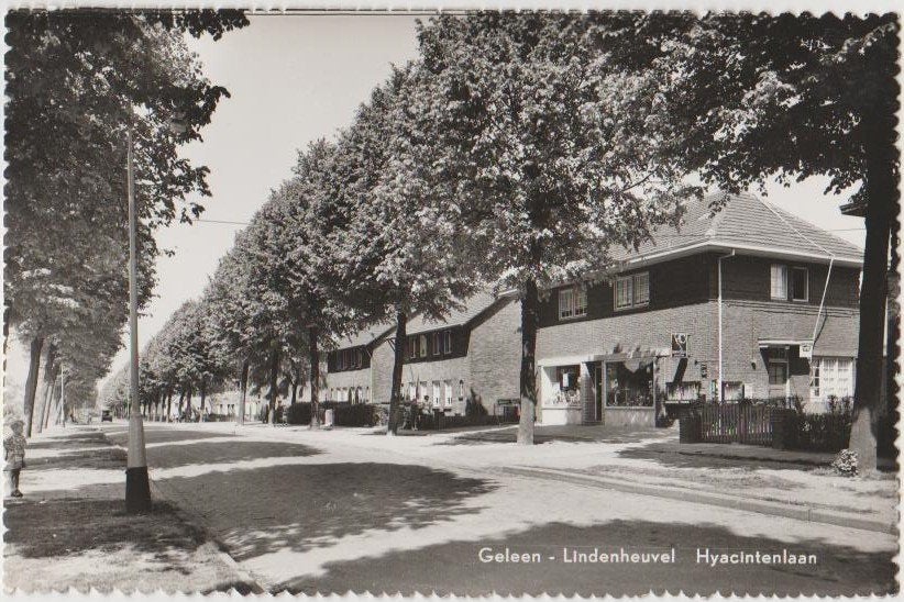 Geleen Lindenheuvel Hyacintenlaan 1956., Ophalen, 1940 tot 1960, Gelopen, Limburg