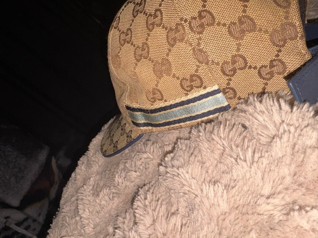 Gucci pet, Ophalen of Verzenden, Nieuw, Gucci, Pet