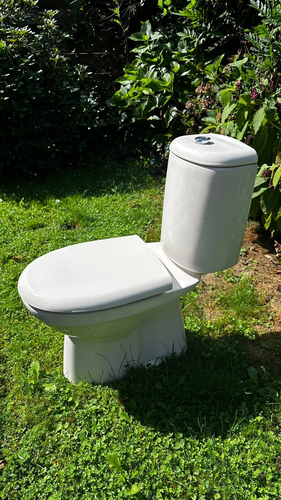 Sphinx toiletblok en fontein, Ophalen, Gebruikt, Toilet