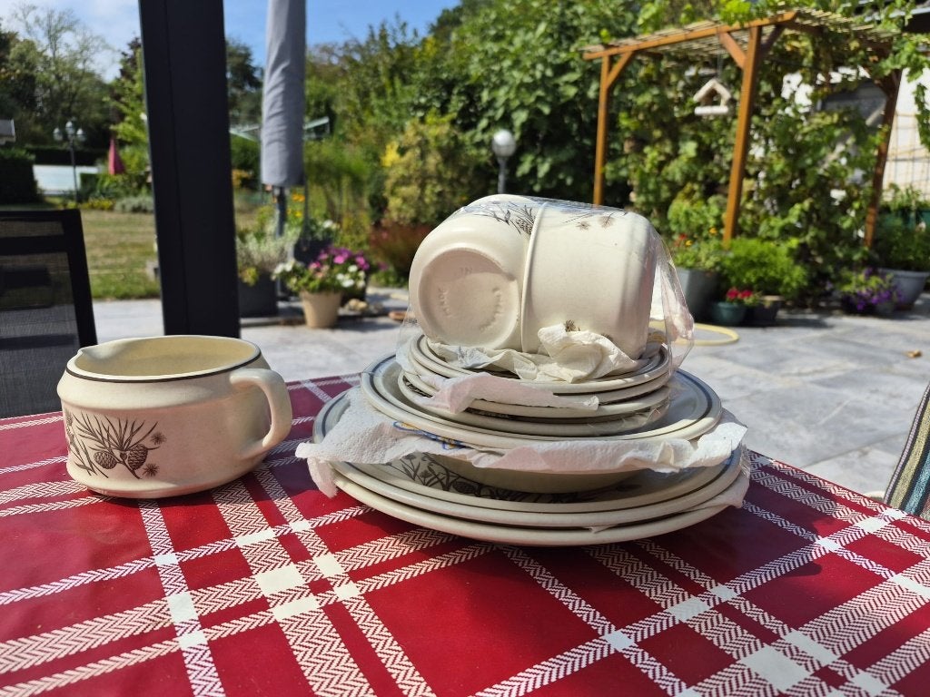 Pinewood servies, Ophalen, Overige merken, Vintage, Nieuw
