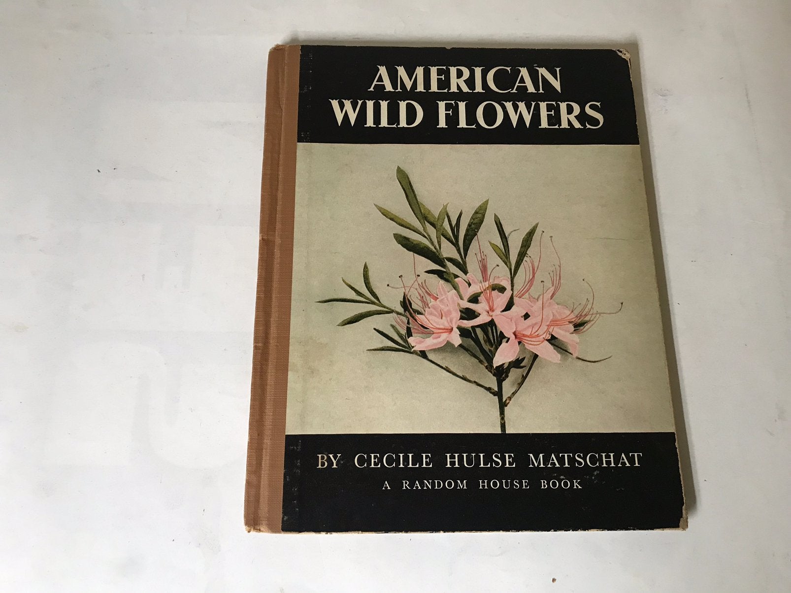 American Wild Flowers., Ophalen of Verzenden, Gelezen, Bloemen, Planten en Bomen