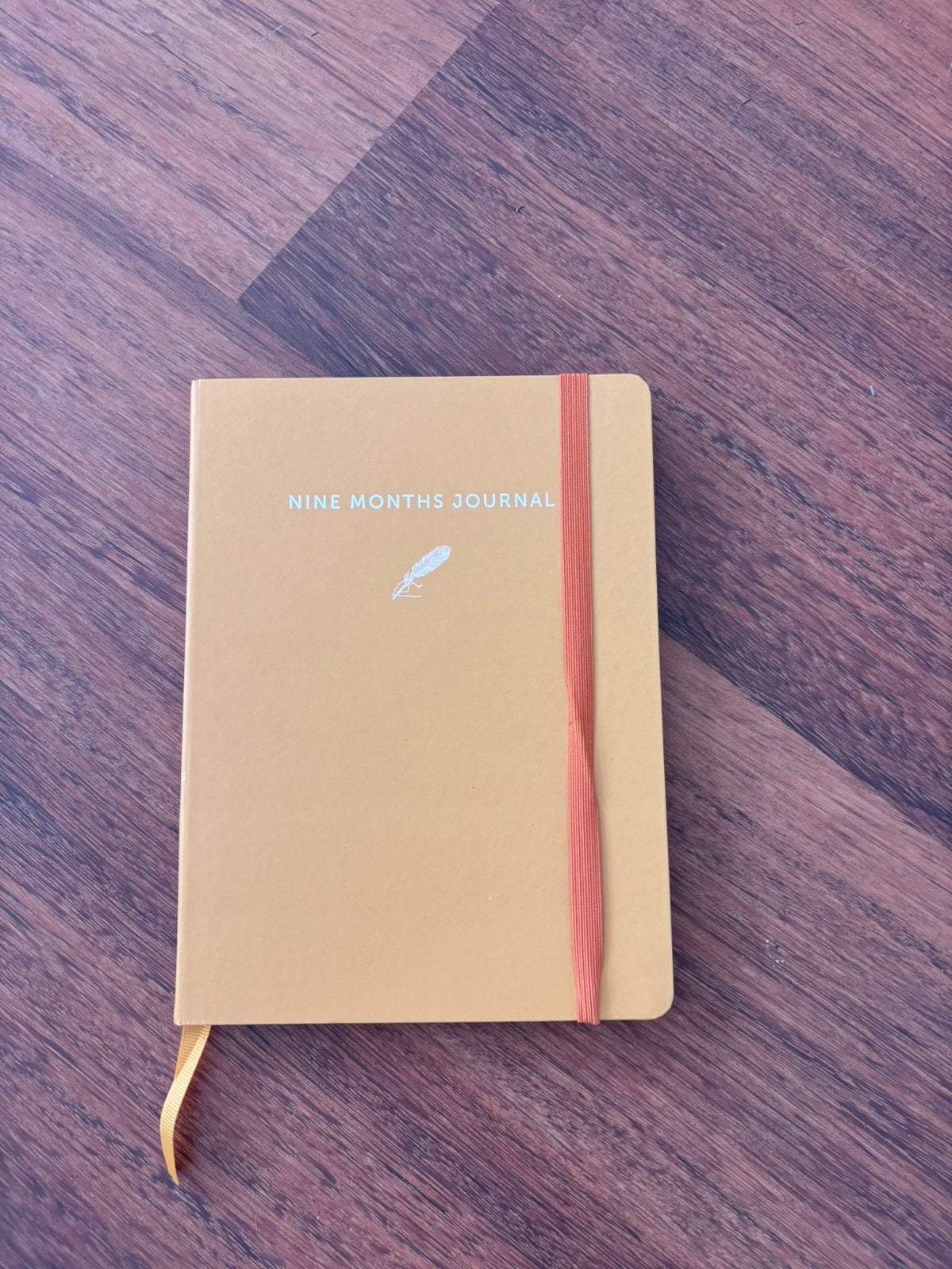 Nine months journal. Zwangerschapsdagboek, Ophalen, Zo goed als nieuw