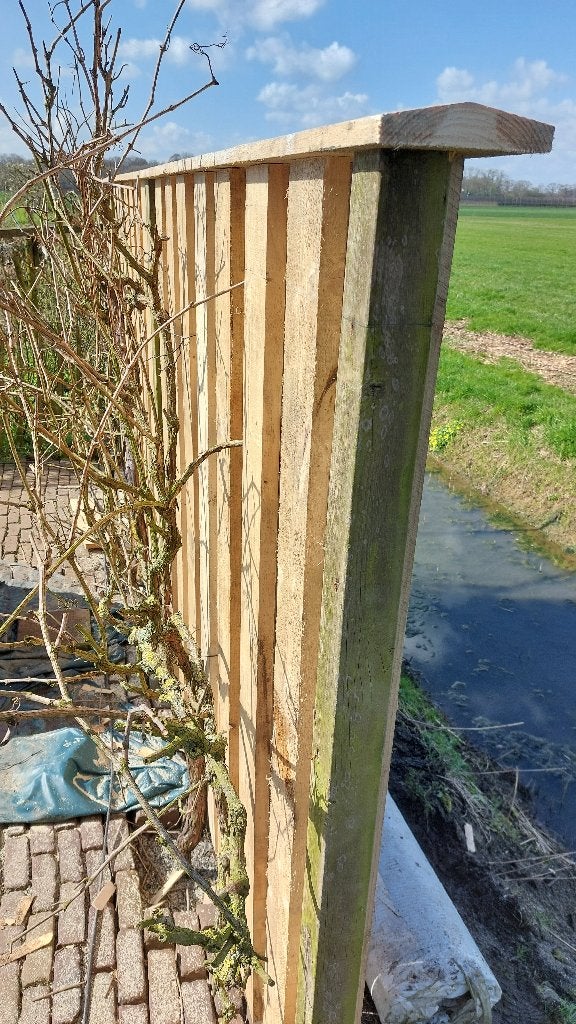 Planken met authentieke landelijke uitstraling, Ophalen, Gebruikt, 25 tot 50 mm, 250 tot 300 cm