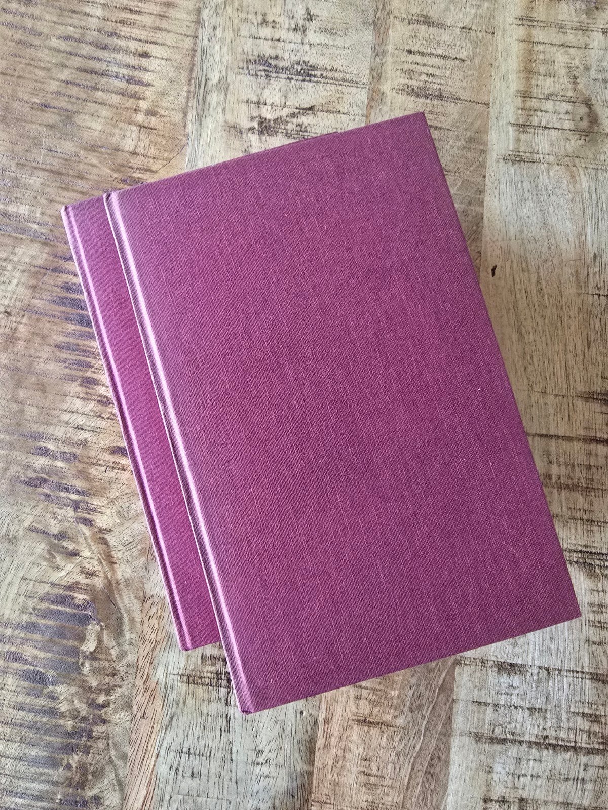 Ondergang: De vervolging en verdelging v.h. Nederlandse Jo, Boeken, Europa, Ophalen of Verzenden, Dr. J. Presser, 20e eeuw of later