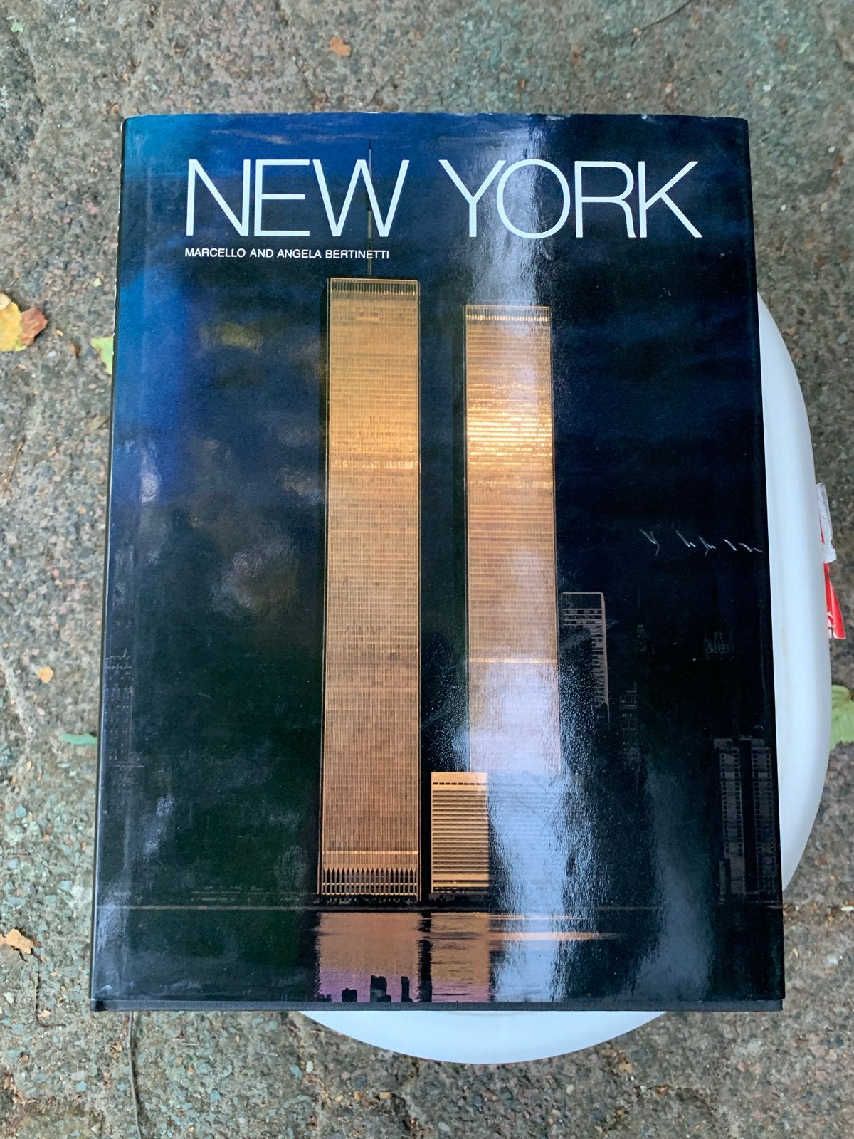 New York: Een visuele reis door de stad die nooit slaapt, Boeken, Reisgidsen, Ophalen of Verzenden, Reisgids of -boek, Noord-Amerika