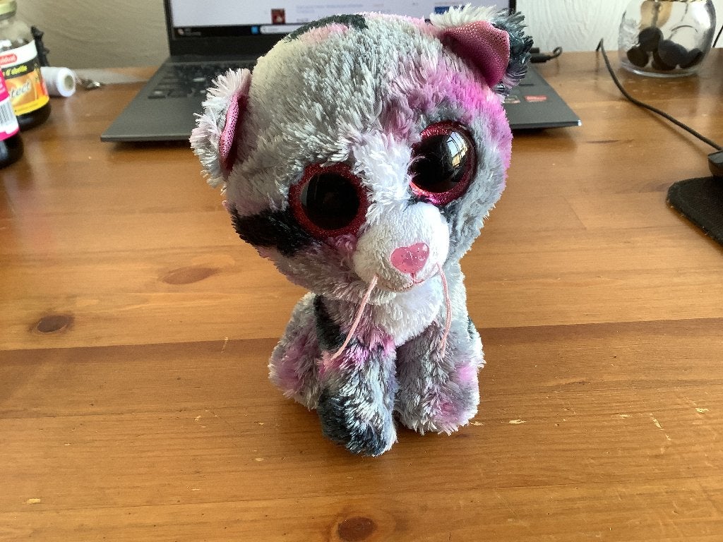 TY knuffel beanie boo Linda Kitten. 2017, Gebruikt, Ophalen of Verzenden, Met label, Kat